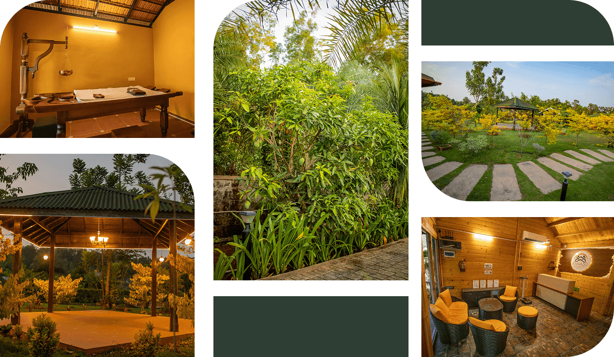 Kanasu Wellness campus facilities