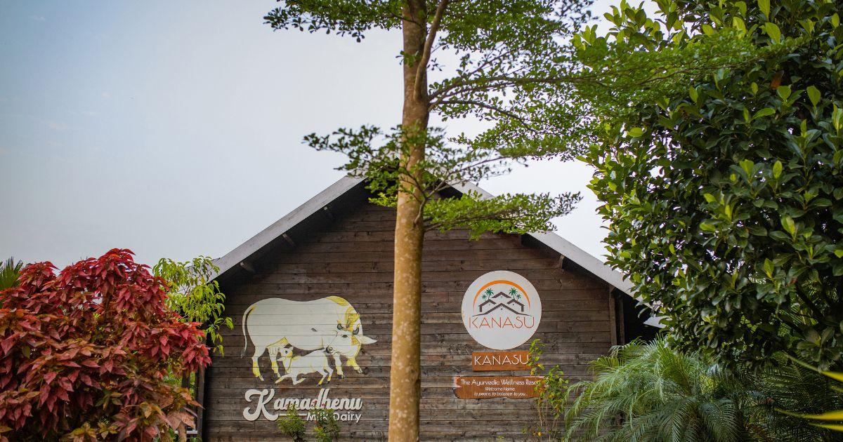 Gokulam cows
